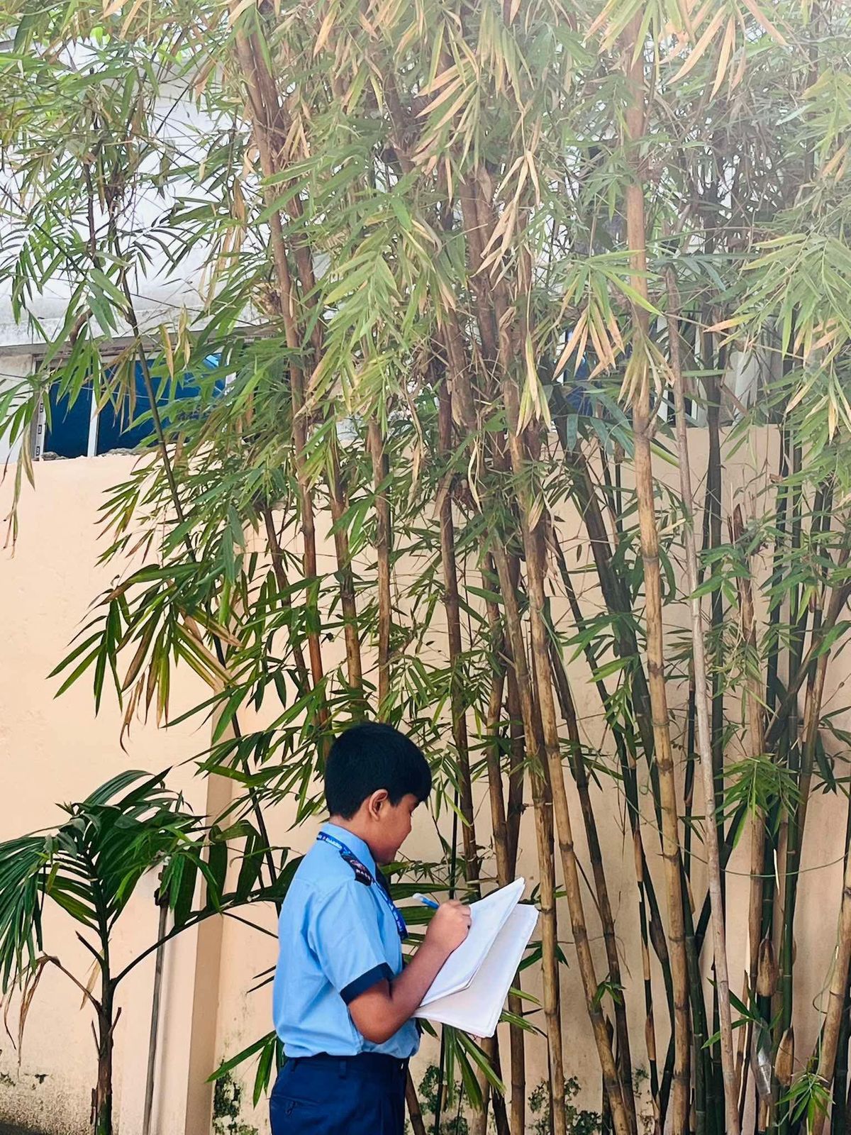 Plant observation activity