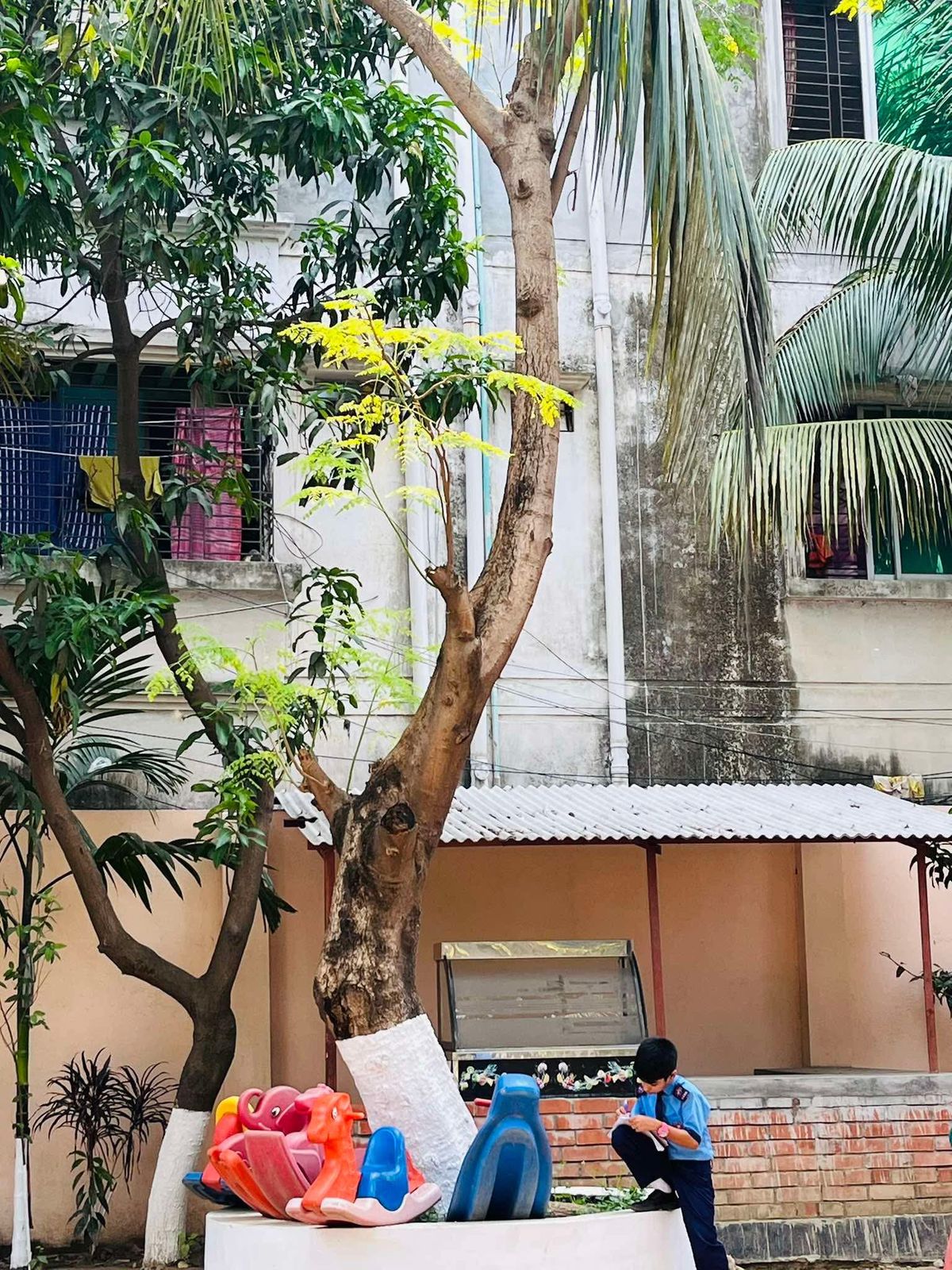 Students observing trees
